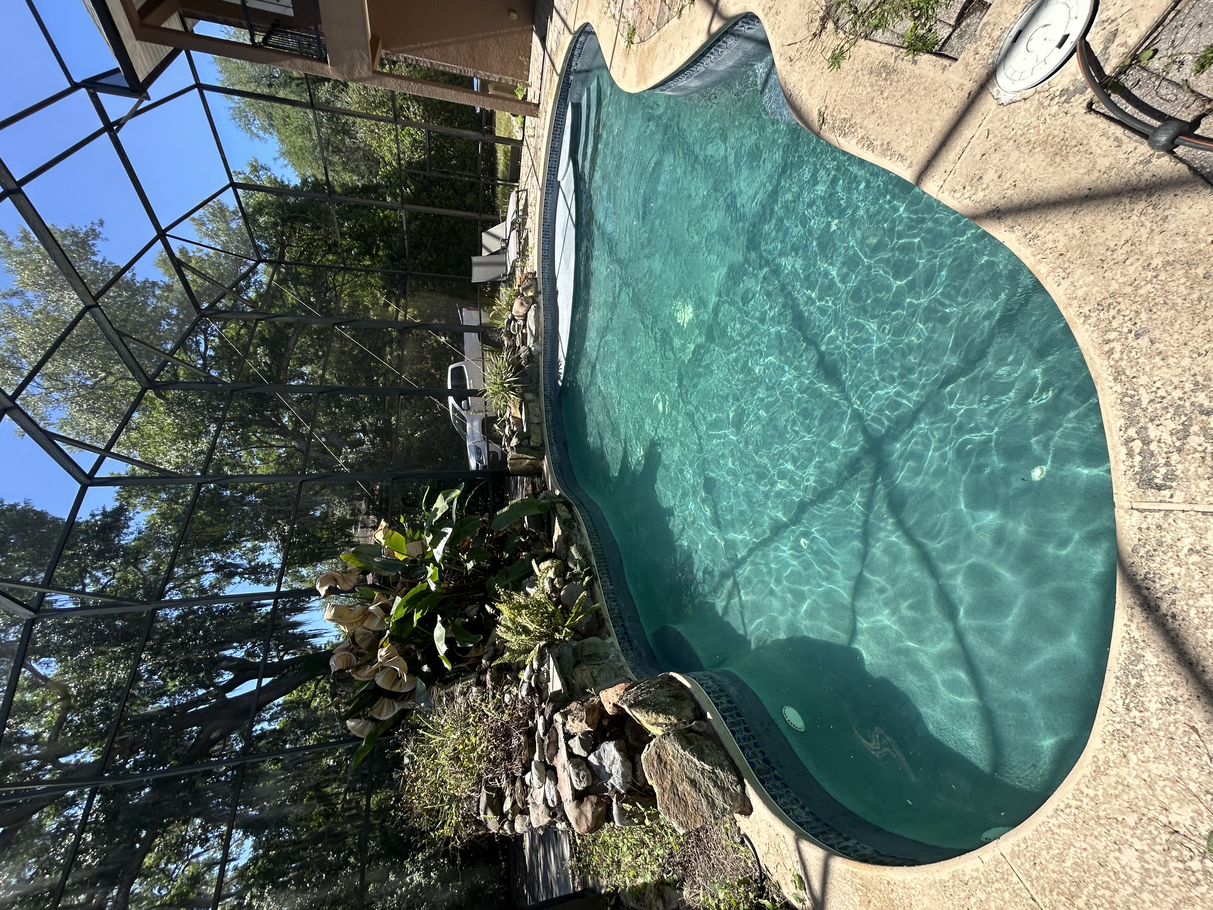 Freeform pool restored to clear blue after a Clear Ripples Green to Clean treatment