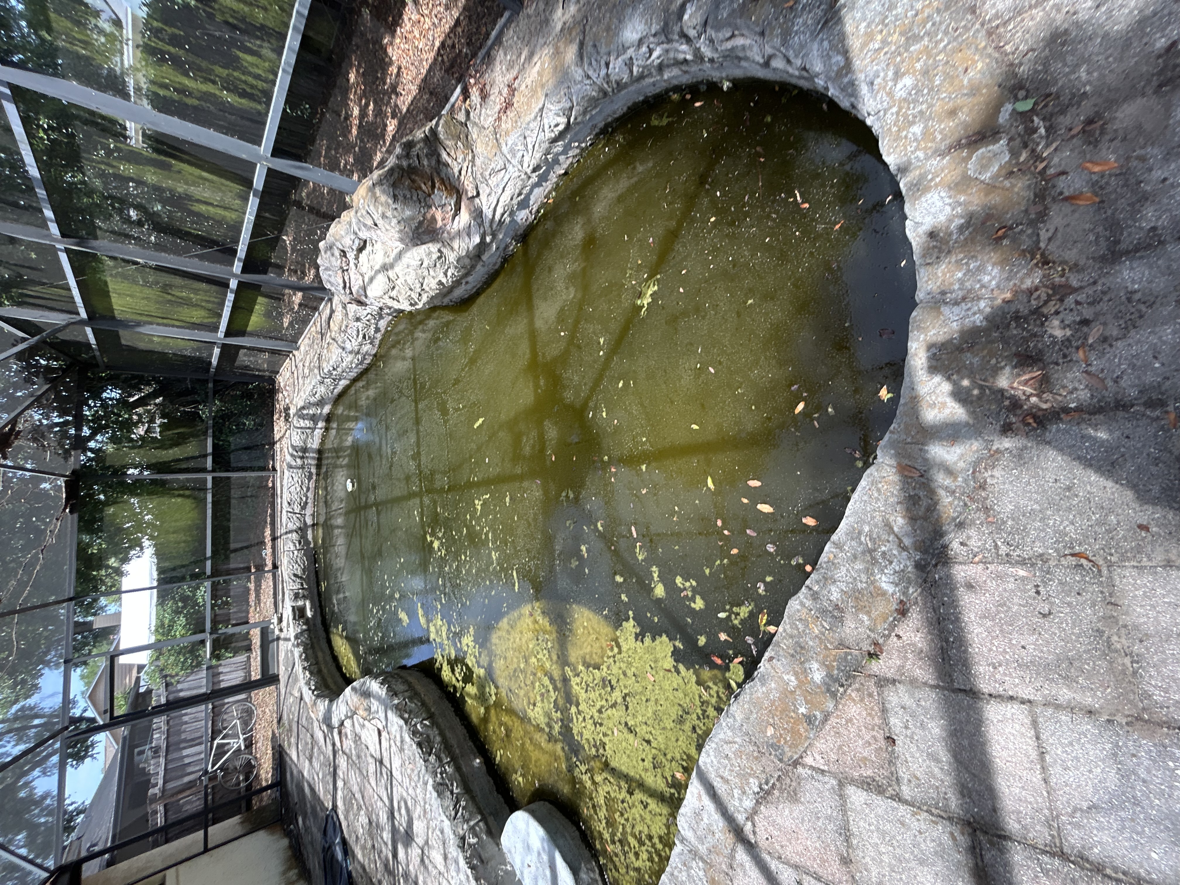 Neglected screened pool covered in green algae before Green to Clean treatment in Central Florida