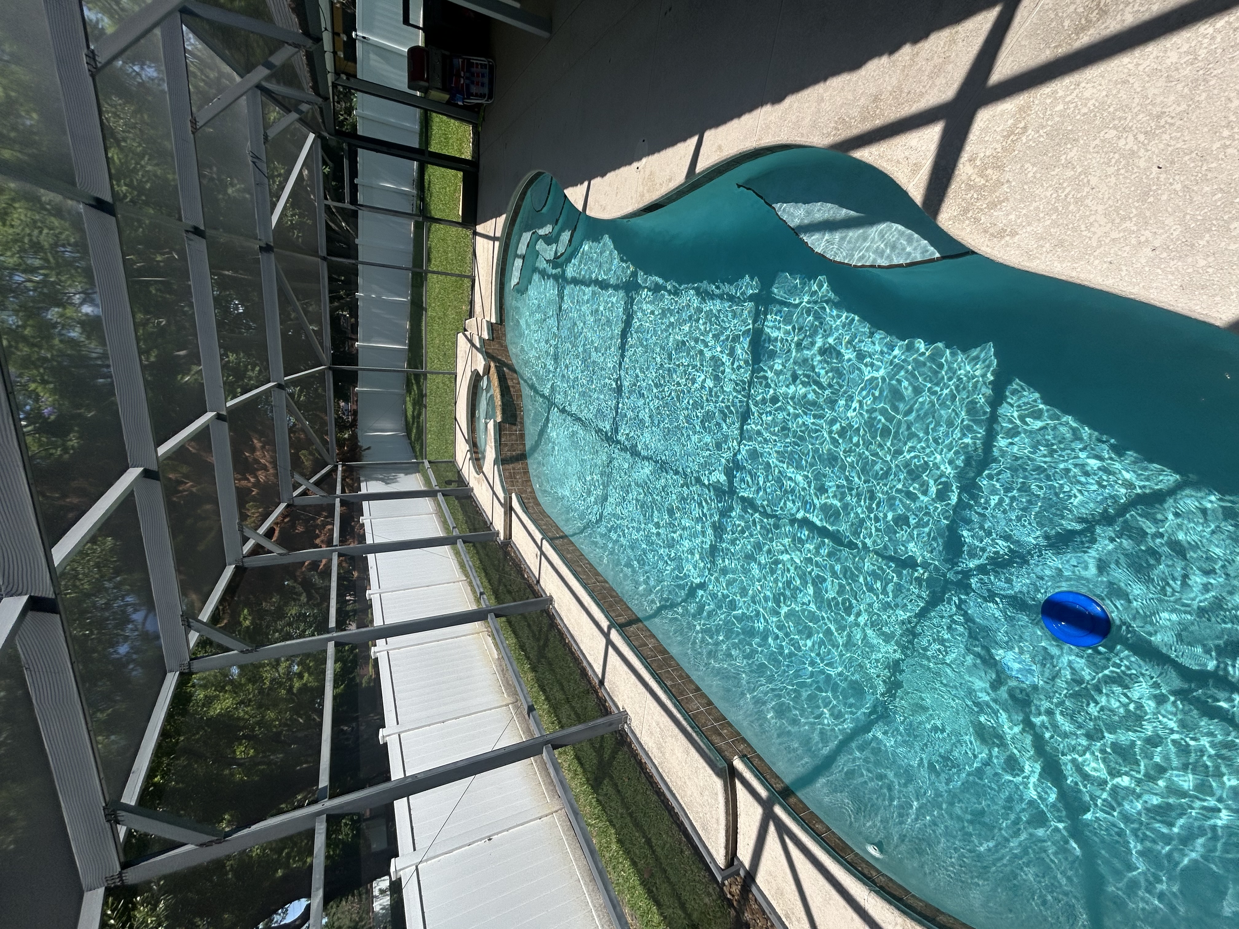 Freeform pool with sparkling clear water after a Clear Ripples weekly service visit
