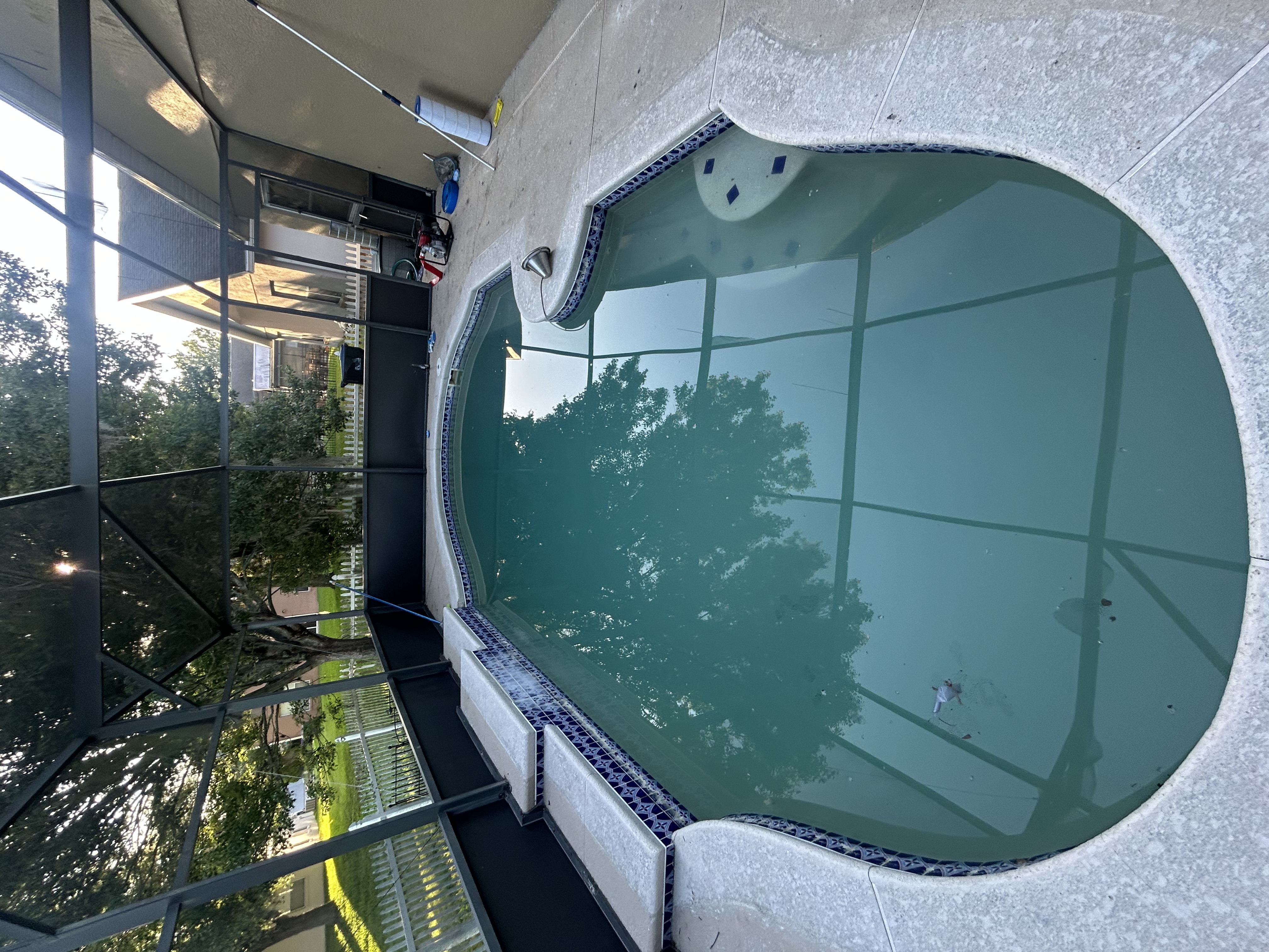Green to Clean pool service — cloudy green water before